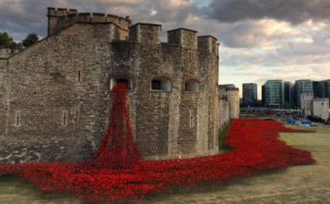 Tower-of-Poppies-Blood-Flowing