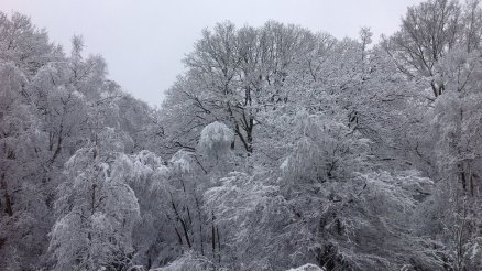 _65866840_rogerbruce